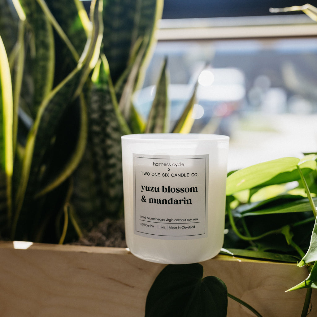 Two One Six Candle x Harness Cycle | Yuzu Blossom & Mandarin